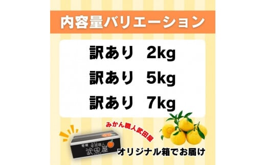 愛媛県愛南町のふるさと納税 先行受付 訳あり はるか 2kg 【発送時期 1月中旬～3月】 なくなり次第終了 柑橘 かんきつ 期間限定 みかん 蜜柑 冬 糖度 みかん職人武田屋