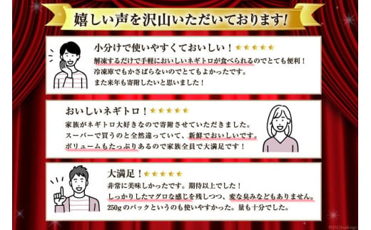 静岡県吉田町のふるさと納税 【8月発送】ネギトロ 15パック（計1.5kg）