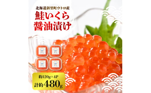 ＜新物＞鮭いくら醤油漬け　約120g×4パック【1374834】