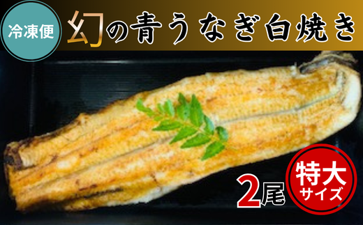 【冷凍便】幻の青うなぎ白焼き（特大サイズ）2尾