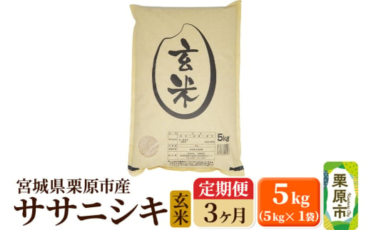 《定期便3ヶ月》【令和6年産・玄米】宮城県栗原産 ササニシキ 毎月5kg (5kg×1袋)×3ヶ月 1519725 - 宮城県栗原市