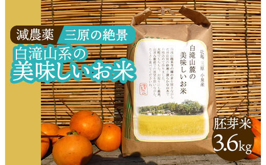 ≪減農薬≫ 三原の絶景白滝山系の美味しいお米3.6kg（胚芽米）新米 002007 776587 - 広島県三原市