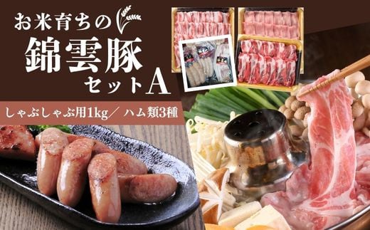 錦雲豚 しゃぶしゃぶ1kgとハム類 セットA 豚肉