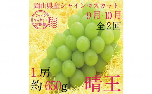 [HS]【定期便 全2回】ぶどう 2025年 先行予約 9月・10月発送 シャイン マスカット 晴王 1房 約650g【ブドウ 葡萄  岡山県産 国産 フルーツ 果物 ギフト】 1519369 - 岡山県倉敷市