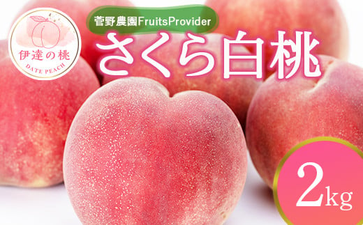 福島県産 さくら白桃 2kg 2025年9月上旬～2025年9月中旬発送 2025年出荷分 先行予約 予約 大玉 固め 白桃 伊達の桃 桃 もも モモ 果物 くだもの フルーツ 国産 食品 F20C-639 519390 - 福島県伊達市