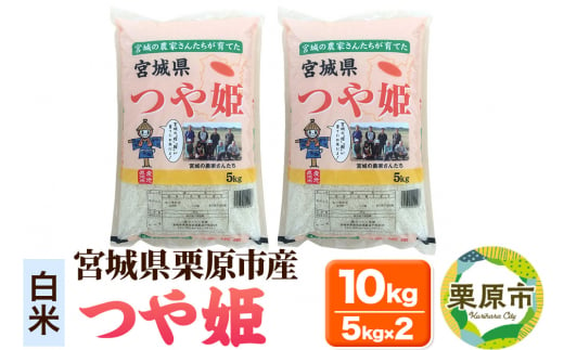 【白米】令和6年産 つや姫 10kg(5kg×2袋) 宮城県栗原市産 1264803 - 宮城県栗原市