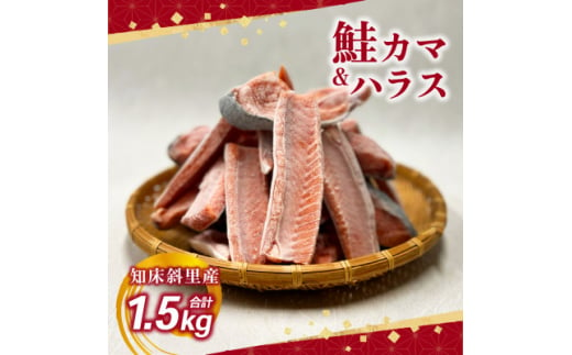 ＜先行受付＞<数量限定> 知床斜里産 天然秋鮭カマ&ハラス 1.5kg 船上活締め【1447515】 1132936 - 北海道斜里町