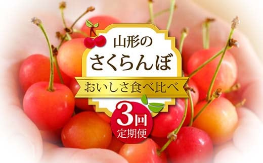 [2025年 先行予約]数量限定 おいしさ食べ比べ 山形のさくらんぼ定期便 3回定期便 果物 フルーツ