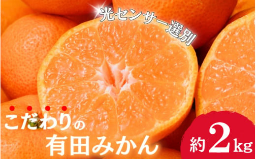 【2024年12月発送予約分】＼光センサー選別／農家直送 こだわりの有田みかん 約2kg＋250g(傷み補償分)【ご家庭用】【12月発送】みかん ミカン 有田みかん 温州みかん 柑橘 有田 和歌山 ※北海道・沖縄・離島配送不可/みかん ミカン 有田みかん 温州みかん 柑橘 有田 和歌山 産地直送【nuk159-2B】 1303267 - 和歌山県古座川町