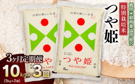 【令和6年産】特別栽培米 つや姫10kg（5kg×2）【3回定期便】　山形県庄内産 970782 - 山形県鶴岡市