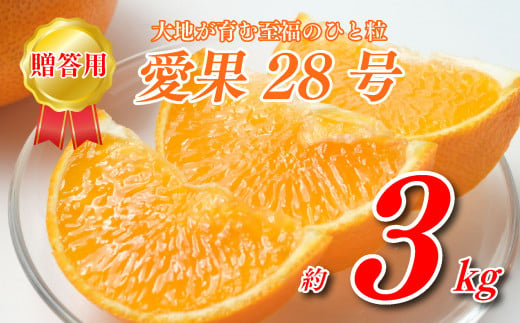 愛果28号 3kg 贈答用 寿 あいか 極上 田中農園 あいか 愛果 みかん 柑橘 蜜柑 フルーツ 先行予約 松山市 愛媛県 数量限定 【 2024年 11月 12月発送 】 1153331 - 愛媛県松山市