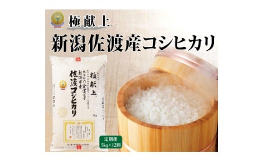 ５kg【毎月定期便 12ヵ月】《食味鑑定士厳選》新潟県佐渡産コシヒカリ 1507346 - 新潟県新潟県庁