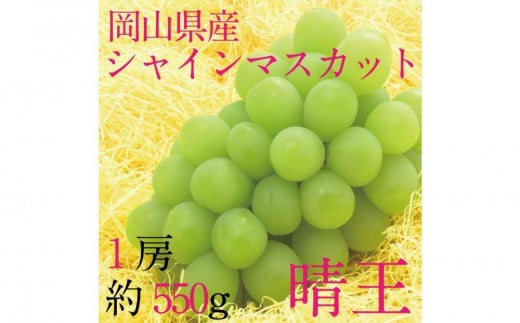 [HS]ぶどう 2025年 先行予約 9月・10月発送 シャイン マスカット 晴王 1房 約550g【ブドウ 葡萄  岡山県産 国産 フルーツ 果物 ギフト】 1519361 - 岡山県倉敷市