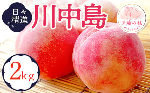 福島県産 川中島白桃 2kg 2025年8月中旬～2025年8月下旬発送 2025年出荷分 先行予約 予約 白桃 大玉 伊達の桃 桃 もも モモ 果物 くだもの フルーツ 国産 食品 F20C-646 519397 - 福島県伊達市