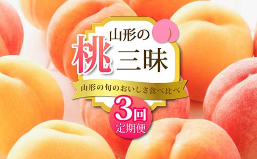 《2025年 先行予約》 山形の旬のおいしさ食べ比べ 山形の桃三昧 3回定期便 桃 果物 フルーツ FSY-2049