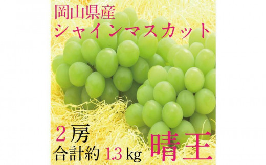 [HS]ぶどう 2025年 先行予約 9月・10月発送 シャイン マスカット 晴王 2房（合計約1.3kg）【ブドウ 葡萄  岡山県産 国産 フルーツ 果物 ギフト】 1519367 - 岡山県倉敷市