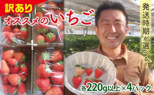 ＜訳あり品＞ 群馬県産オススメいちご 4品種(各220g以上×4パック)【2025年3月1日〜5月15日発送】 小粒 訳あり 群馬県産 いちご 苺 イチゴ 食べ比べ セット 詰合せ 果物 フルーツ 食品 F21E-255