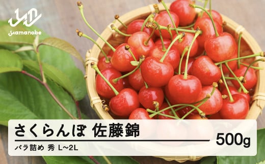 ≪先行予約≫ 2025年 山形県産 さくらんぼ 佐藤錦 バラ詰め 500g 秀 L～2L混合 2025年6月中旬頃から順次発送 サクランボ フルーツ くだもの 果物 ※沖縄・離島への配送不可  ot-snsbx500 1471034 - 山形県山辺町