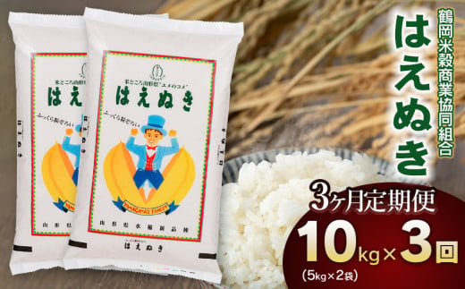 【令和6年産】 はえぬき10kg（5kg×2）【3回定期便】 山形県庄内産　鶴岡米穀商業組合 969681 - 山形県鶴岡市