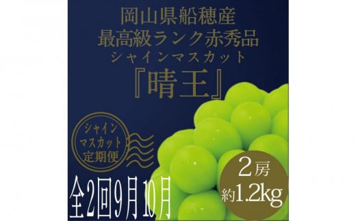 [HS]【定期便 全2回】ぶどう 2025年 先行予約 9月・10月発送 最高級品シャイン マスカット 晴王 2房 〈合計約1.2kg〉【ブドウ 葡萄  岡山県産 船穂産 フルーツ 果物 ギフト】 1519383 - 岡山県倉敷市