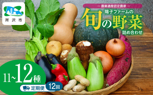 ＜12ヵ月定期便＞農業遺産認定農家 陽子ファームの旬の野菜詰め合わせ11種~12種 | 野菜 季節の野菜 旬の野菜 新鮮野菜 産地直送 有機 オーガニック 定期便 フレッシュ セット 詰め合わせ サラダ 料理 炒め物 煮物 スムージー 旬 おいしい 安全 安心 お取り寄せ ギフト おすすめ 世界農業遺産 埼玉県 所沢市