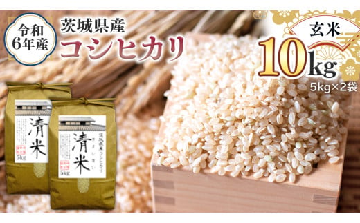 令和6年産 茨城県産 玄米 コシヒカリ 30kg（30kg×1袋） 新米 清米 キヨシマイ こしひかり 米 コメ こめ 単一米 限定 茨城県産 国産  美味しい お米 おこめ おコメ - 茨城県つくばみらい市｜ふるさとチョイス - ふるさと納税サイト