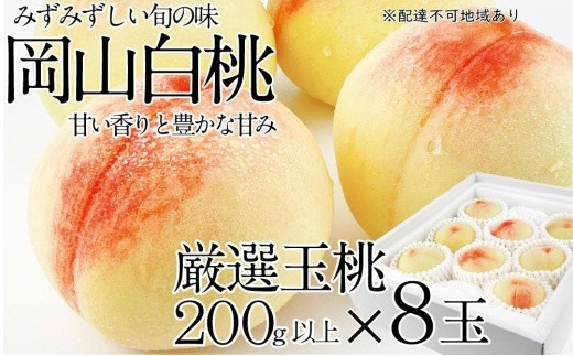 [先行予約]岡山の白桃200g×8玉[晴れの国 岡山 岡山県産 フルーツ王国 果物王国 桃 岡山白桃 岡山の白桃 白桃 旬 みずみずしい 岡山県 倉敷市 おすすめ 人気]