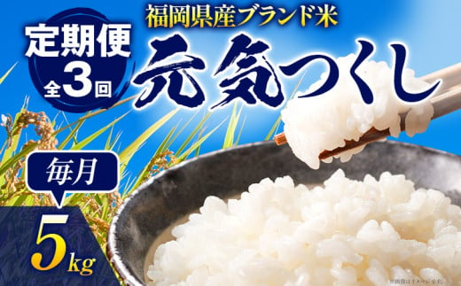 【3ヶ月 定期便】 元気つくし 合計15kg 5kg×3回 白米 お米 ご飯 米 精米 送料無料 お取り寄せグルメ お取り寄せ 福岡 お土産 九州 福岡土産 取り寄せ グルメ 福岡県 1241006 - 福岡県志免町