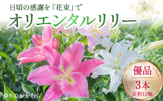 日頃の感謝を「花束」で、オリエンタルリリー【優品3本】Osy-A13 誕生日 植物 フラワー プレゼント 花束 ゆり リリー お花 1431005 - 高知県四万十町