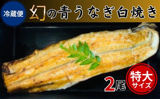 【冷蔵便】幻の青うなぎ白焼き（特大サイズ）2尾