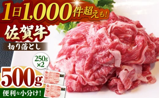 [12月10日入金まで 年内発送]佐賀牛 切り落とし 500g ( 250g×2パック ) [山下牛舎] [HAD152] 小分け 真空パック 黒毛和牛 牛肉