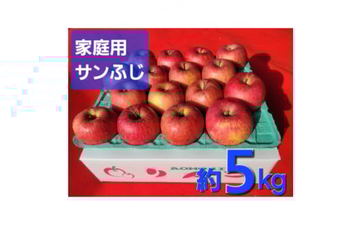 [訳あり]青森県産りんご「サンふじ家庭用」約5kg 産地直送!