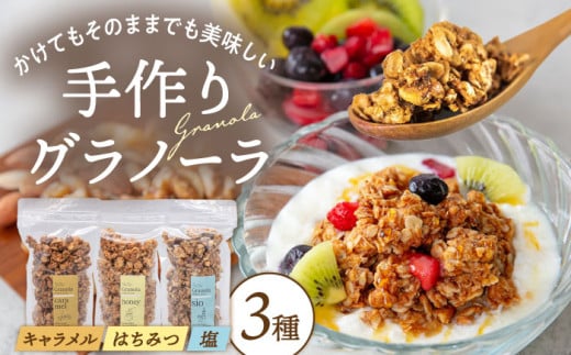 ケーキ屋さんの グラノーラ 3種食べ比べ(キャラメル・はちみつ・塩)200g×3袋 ▼小分け ジッパー付き 密封 常温 手作り おすすめ ヘルシー オートミール おつまみ おやつ アサイーボウル 桂川町/order made cake Toi Toi[ADAW001]