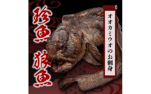 <数量限定>知床斜里産の珍魚「オオカミウオ」!話題作りにいかがですか?＜凍眠にて冷凍しています＞【1410131】 1092374 - 北海道斜里町