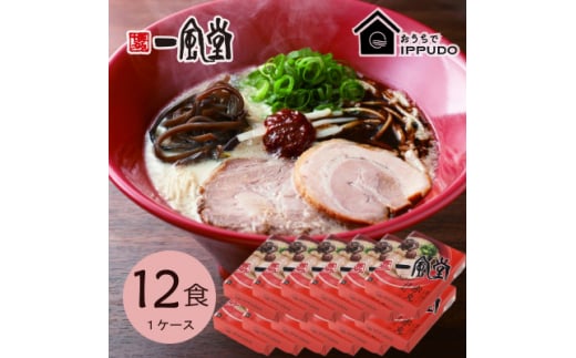 博多一風堂 豚骨ラーメン 赤丸1食×12箱 とんこつ博多細麺【1559789】 1520416 - 長野県茅野市