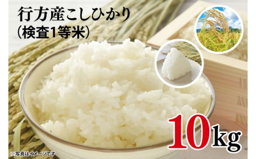 ★令和6年度産★行方産こしひかり 10kg(検査1等米)(CU-31-1) 291740 - 茨城県行方市