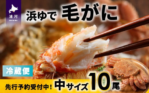 【先行受付開始！】漁協の浜ゆで毛がに 中サイズ10尾※日付指定対応不可※[02-1418]