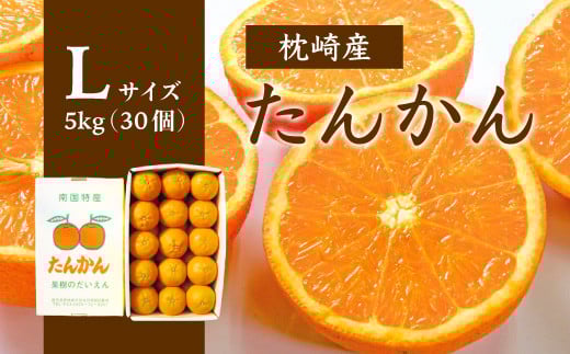 ＜Lサイズ＞南国特産もぎたて たんかん 5kg＜先行受付＞2月下旬より順次発送 A8-121【1466322】 1527037 - 鹿児島県枕崎市
