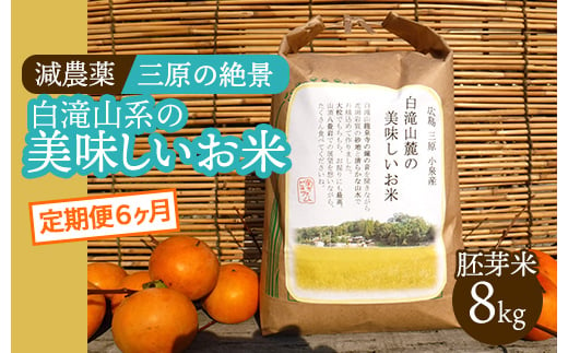 【6か月定期便】≪減農薬≫ 三原の絶景白滝山系の美味しいお米8kg（胚芽米）新米 002029 1531240 - 広島県三原市