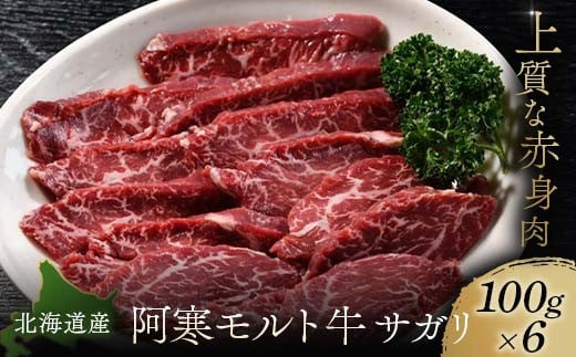 【これぞ北海道産 極上赤身肉】 サガリ100g×6  阿寒モルト牛 北海道 釧路 ふるさと納税 肉 牛 牛肉 赤身 阿寒モルト牛 北海道産 F4F-5403 1534952 - 北海道釧路市