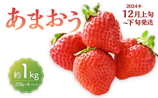 福岡県産 あまおう 1000g（250g×4パック）1kg 特大 Gサイズ 大粒 いちご 苺 あまおう 果物 くだもの フルーツ 九州産 福岡県 大刀洗町 【2024年12月上旬～下旬発送予定】