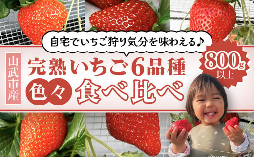 【2025年1月より順次発送！】自宅でいちご狩り気分! 完熟いちご6品種食べ比べセット 800g以上 ／いちご イチゴ 苺 果物 くだもの フルーツ 旬のくだもの 季節のフルーツ 食べ比べ 詰め合わせ セット 希少品種  千葉県 山武市 SMB002 1497279 - 千葉県山武市