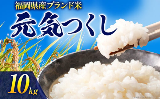 令和6年度産 福岡県産 元気つくし 10kg(5kg×2袋)  白米 お米 ご飯 米 精米 送料無料 お取り寄せグルメ お取り寄せ 福岡 お土産 九州 福岡土産 取り寄せ グルメ 福岡県 1201872 - 福岡県志免町