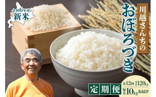 【定期便全12回】令和6年産 川越さんちの おぼろづき 10kg（5kg×2袋）毎月1回お届け 雨竜産 おぼろづき 精米 定期便 10kg お米 おにぎり お弁当 お取り寄せ 北海道 雨竜町 1519066 - 北海道雨竜町