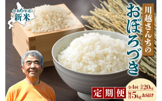 【定期便全4回】令和6年産 川越さんちの おぼろづき　5kg（5kg×1袋）毎月1回お届け 雨竜産 おぼろづき 精米 定期便 5kg お米 おにぎり お弁当 お取り寄せ 北海道 雨竜町 1519060 - 北海道雨竜町