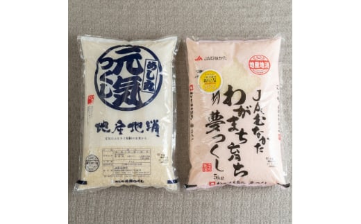 果物屋さんが選んだ米食べ比べ「夢つくし&元気つくし」5kg×2袋(大牟田)【1230476】 404679 - 福岡県大牟田市