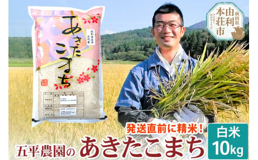 【白米】あきたこまち 令和6年産 秋田県産 五平農園のあきたこまち 10kg 559888 - 秋田県由利本荘市