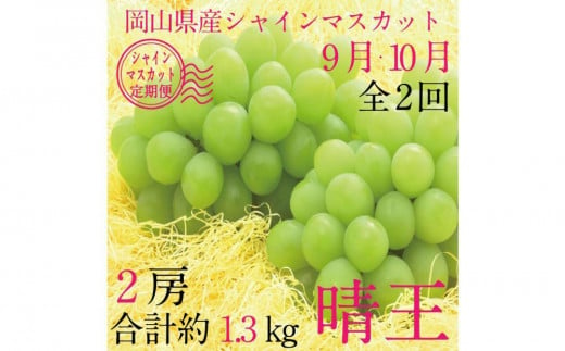 [HS]【定期便 全2回】ぶどう 2025年 先行予約 9月・10月発送 シャイン マスカット 晴王 2房（合計約1.3kg）【ブドウ 葡萄  岡山県産 国産 フルーツ 果物 ギフト】 1519373 - 岡山県倉敷市