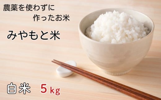 農薬を使わずに作ったお米　みやもと米（白米）　5kg ／ お米 精米 千葉県