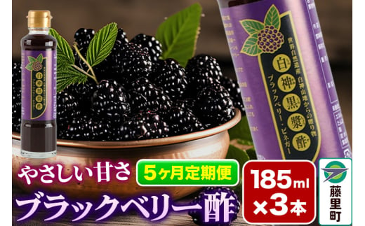 ブラックベリー酢 計3本×5回お届け （185ml×3本）【定期便5ヶ月】 1481639 - 秋田県藤里町